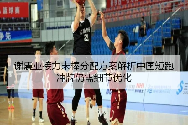 xie-zhen-ye-jie-li-mo-bang-fen-pei-fang-an-jie-xi-zhong-guo-duan-pao-chong-pai-reng-xu-xi-jie-you-hua-2-768.jpg